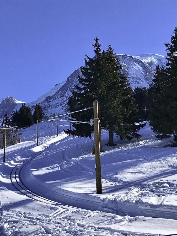 Chalet Amour Blanc Chamonix Les Houches Exterior foto